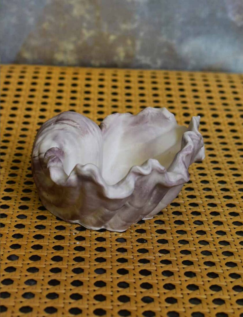 Conch Shell