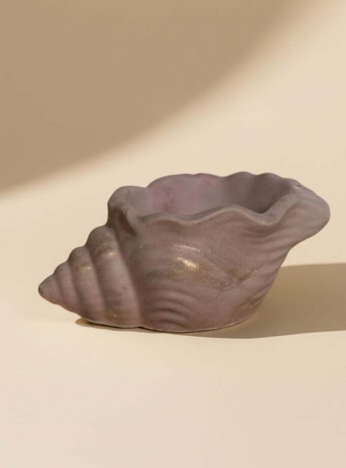 Shell Pot