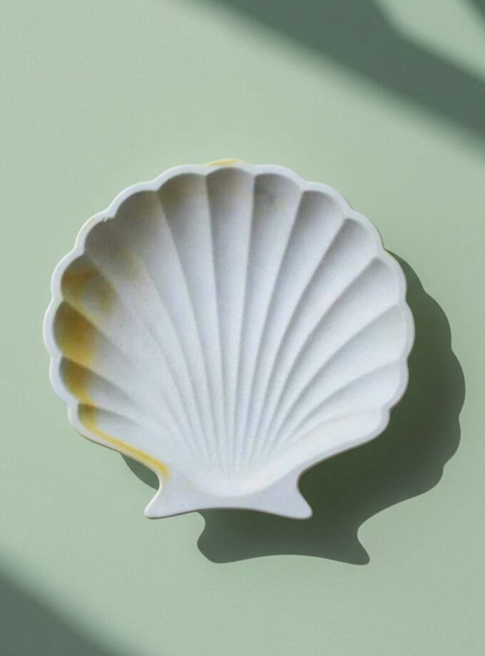 Shell Tray