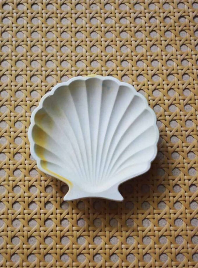 Shell Tray