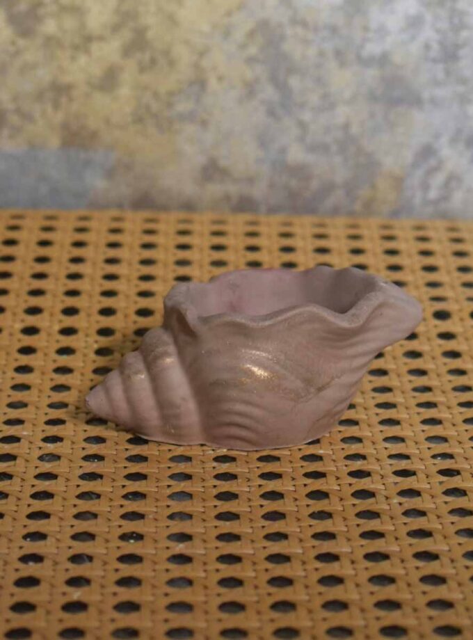 Shell Pot