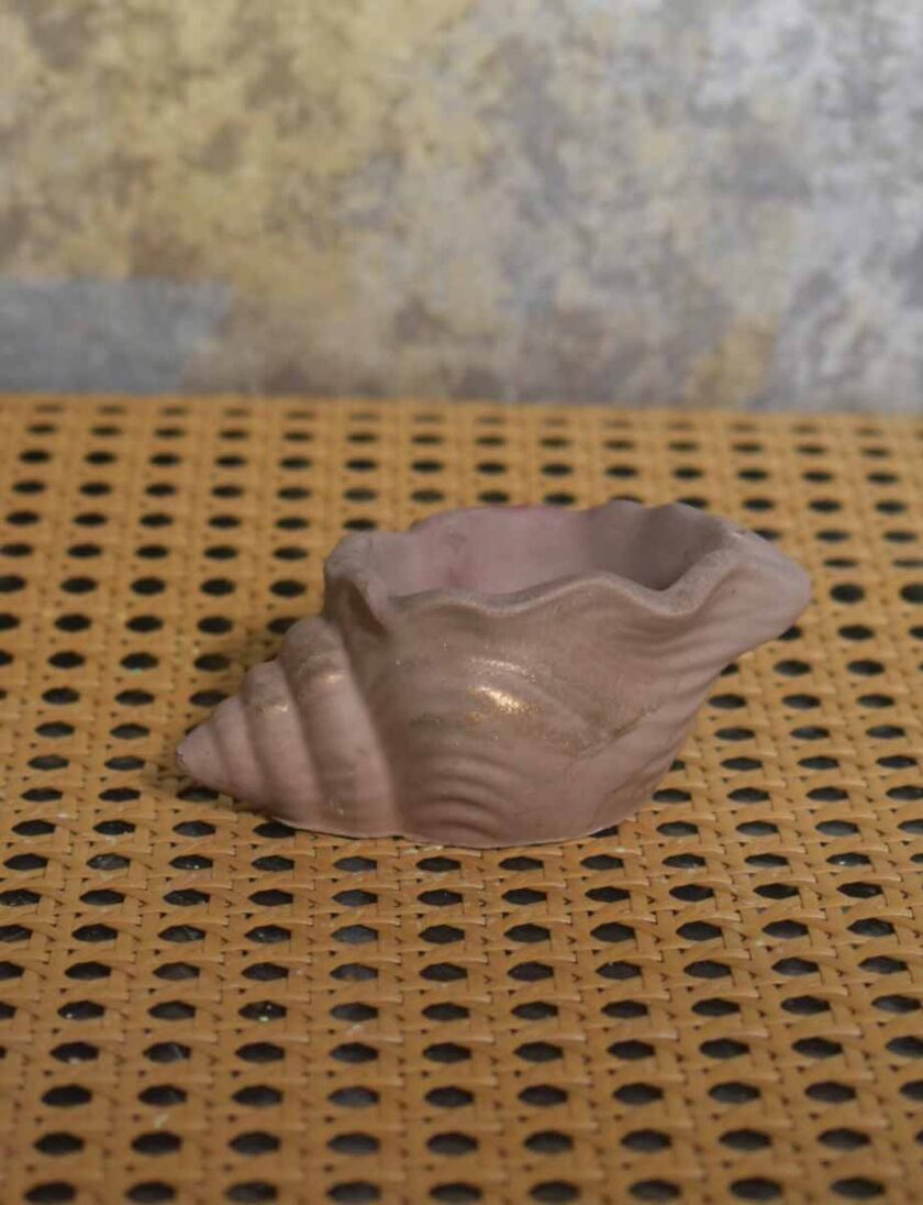 Shell Pot