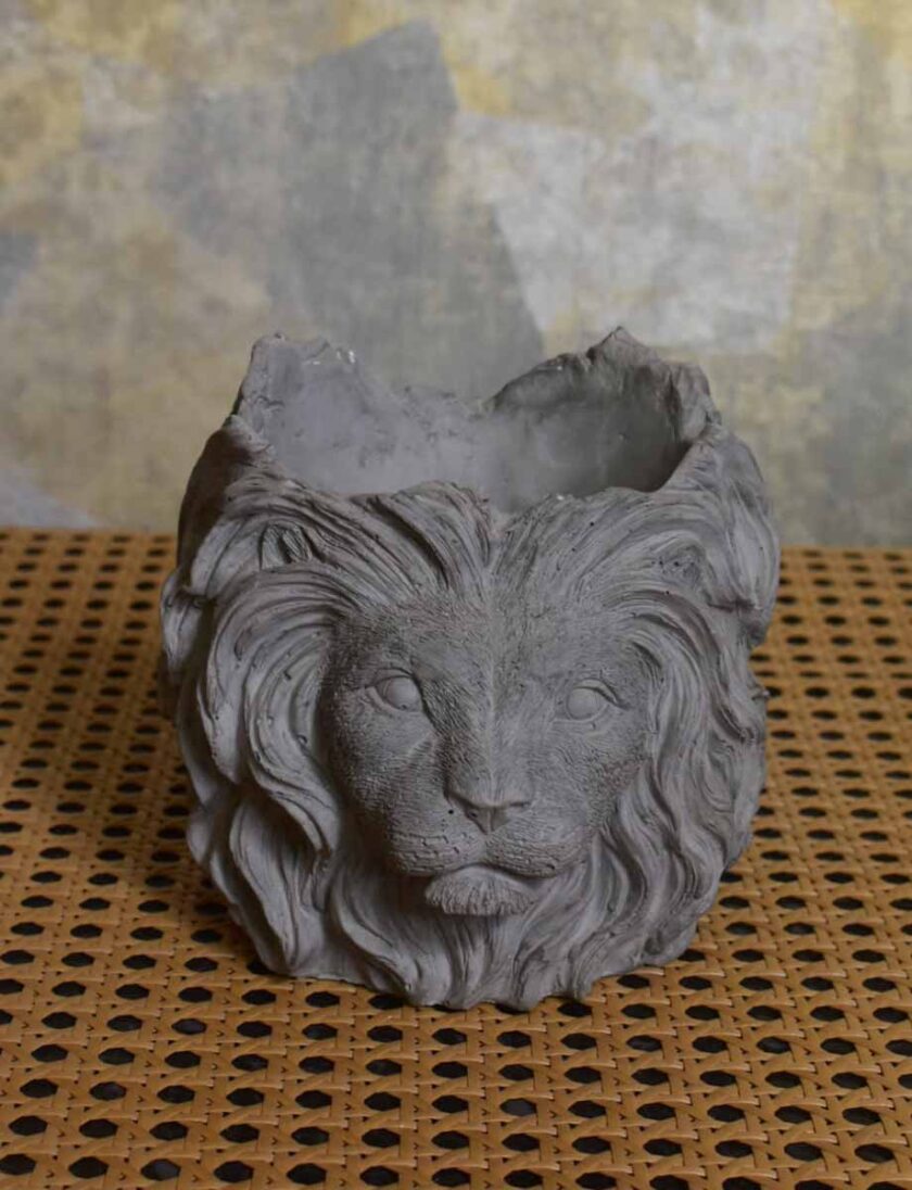 Lion Head