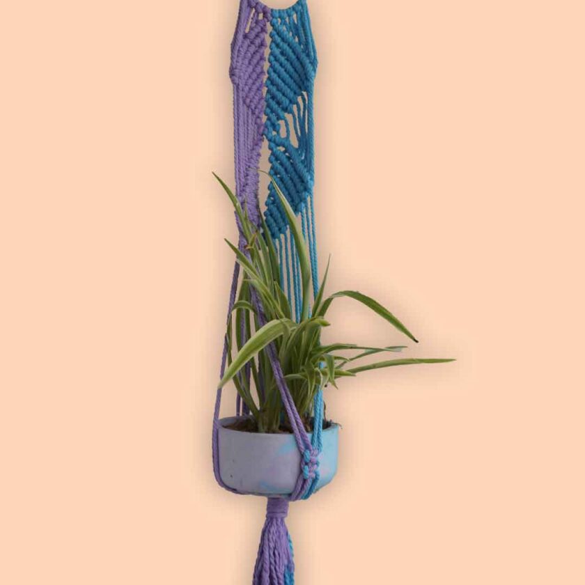 Macrame Plant Hanger 1