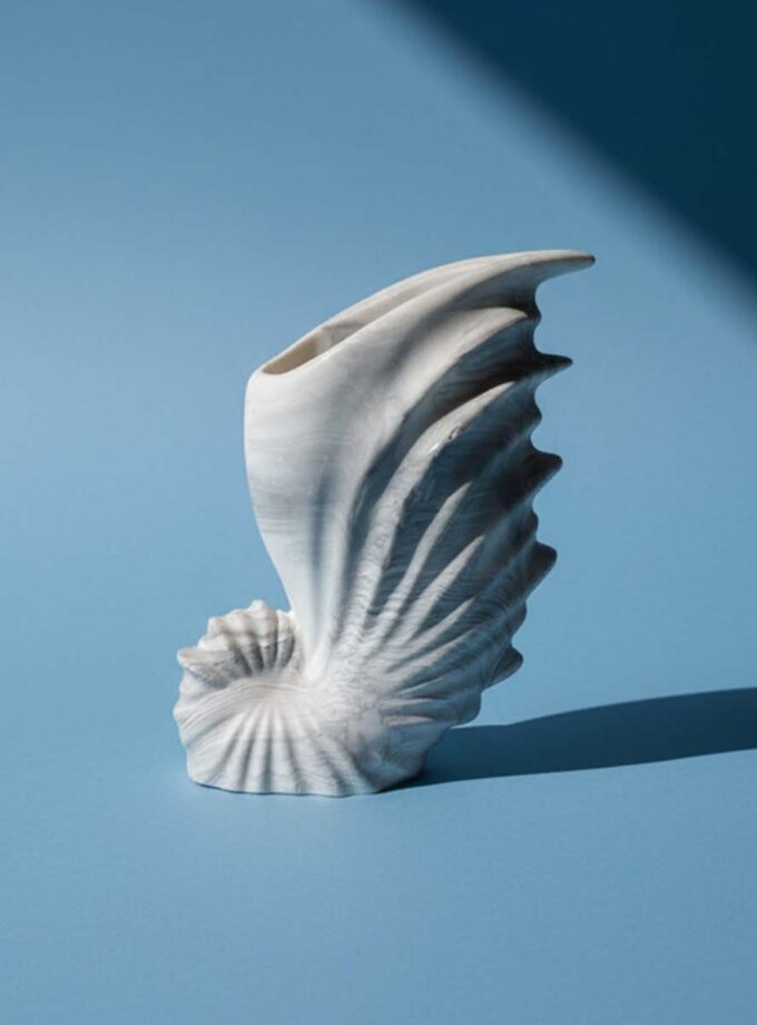 Conch Vase