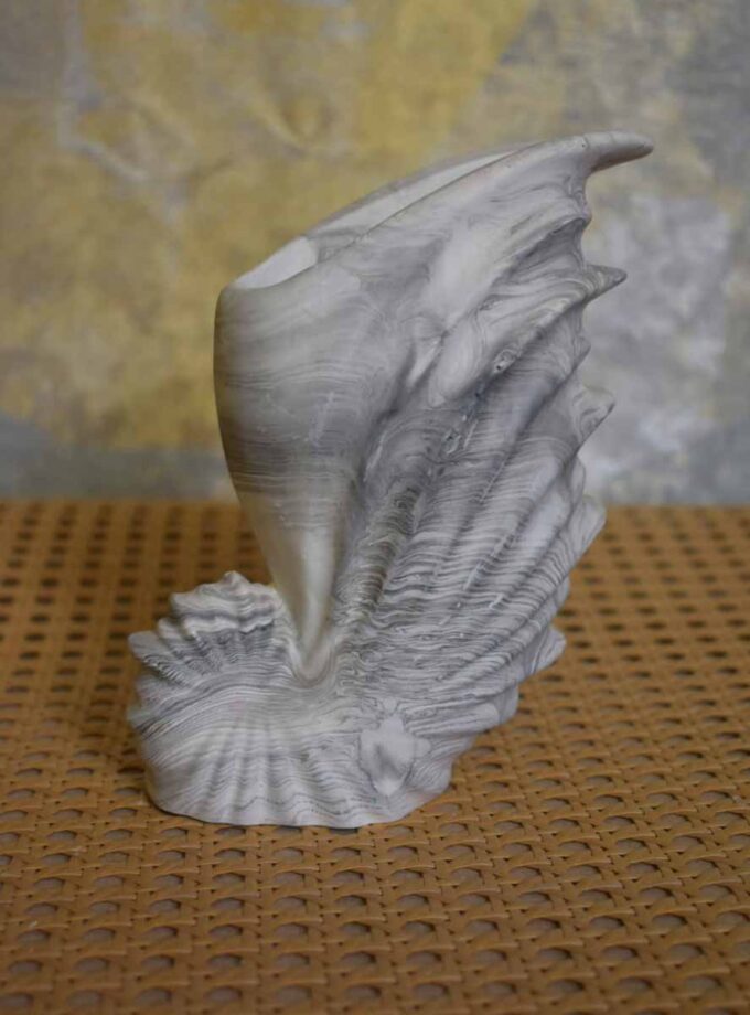 Conch Vase