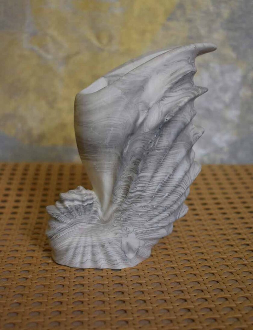 Conch Vase