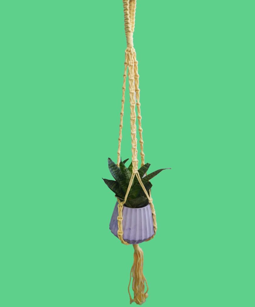 Macrame Plant Hanger 4