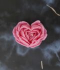 Heart Rose Flower Candle - Image 5