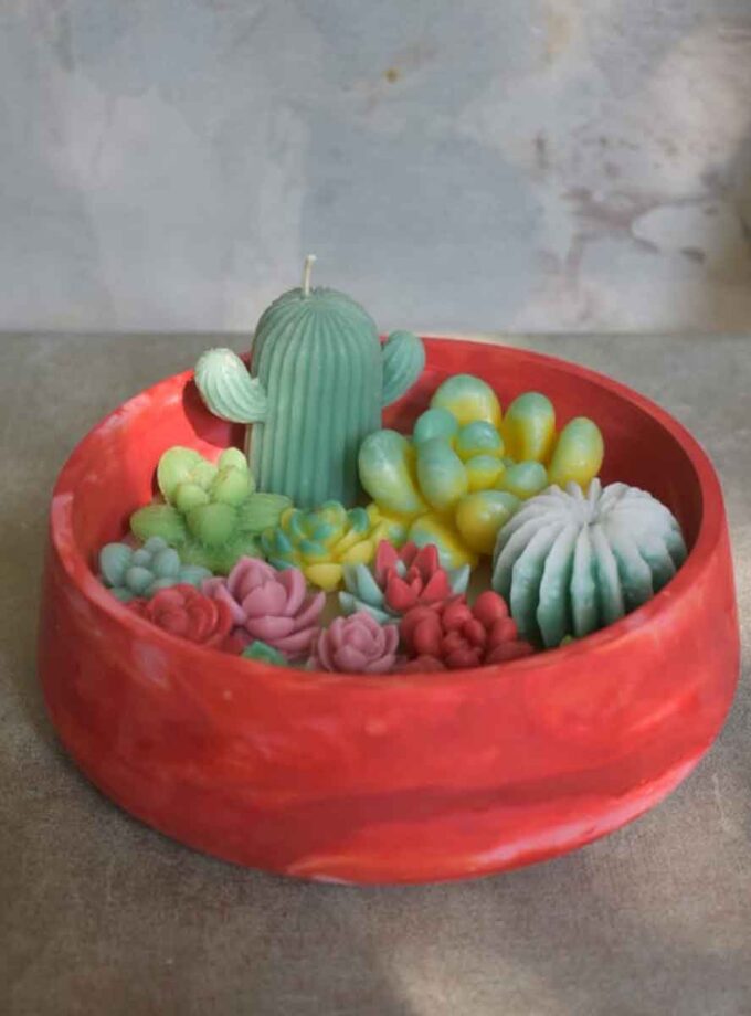 Whispers of Succulent