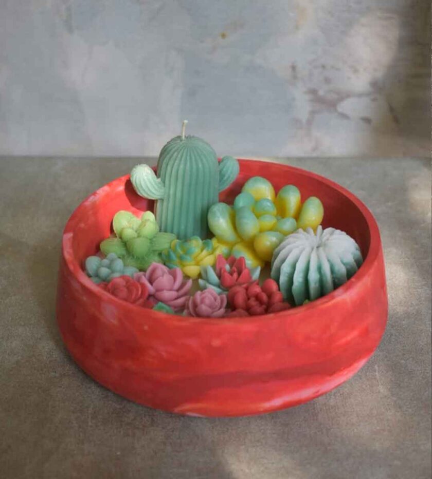 Whispers of Succulent