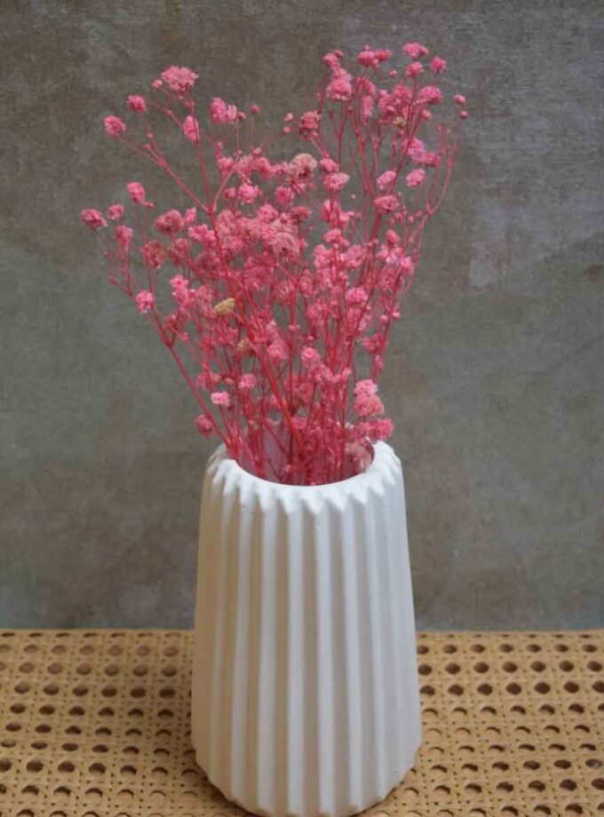 Baby’s Breath – Dried Flowers