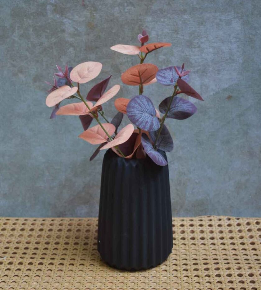 Eucalyptus