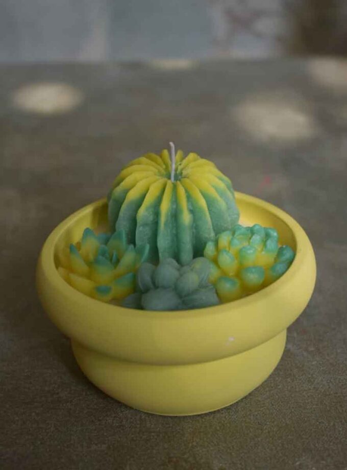 Desert Bloom