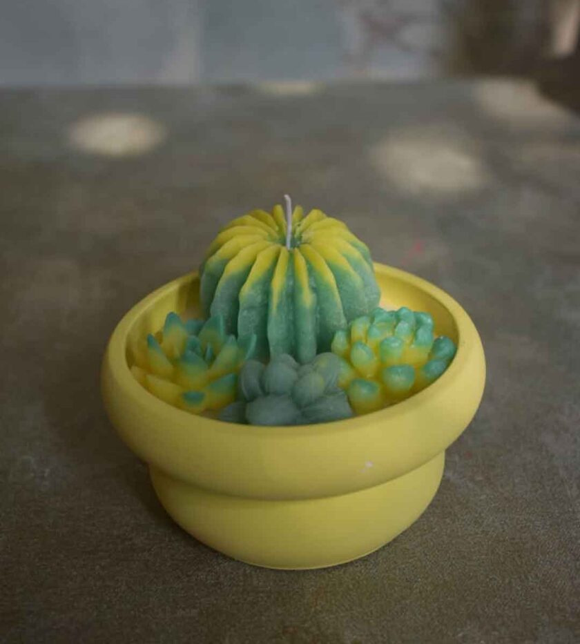 Desert Bloom