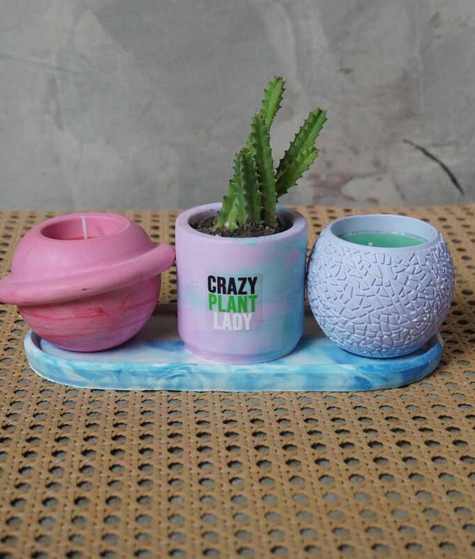 The Plant Lady Treat