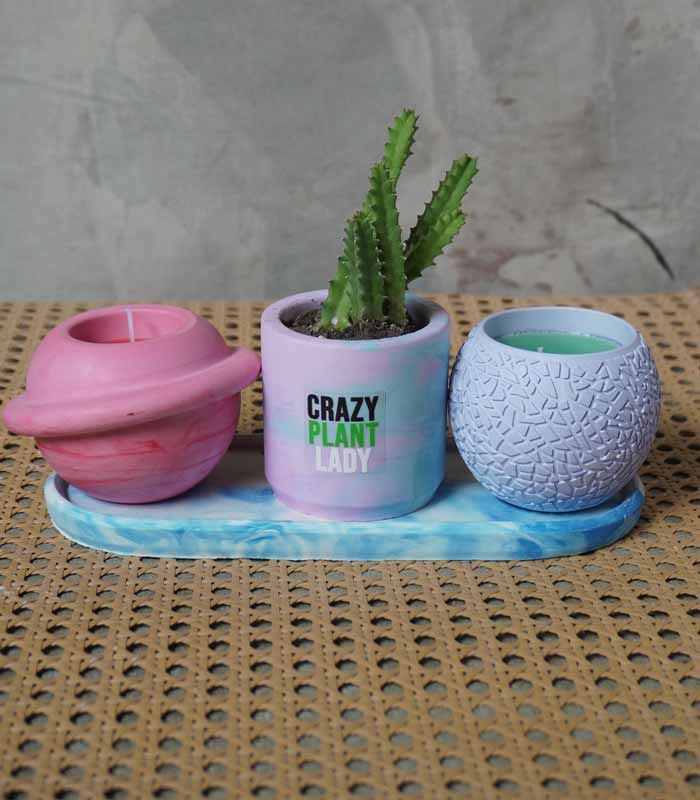 The Plant Lady Treat