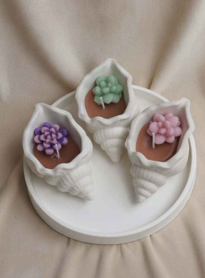 Shell Bloom Tray Set