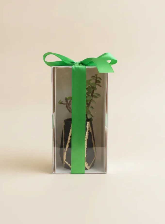 Corporate Azadi Gift