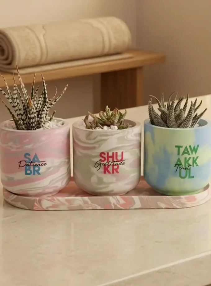 Sabr Shukr Tawakkul