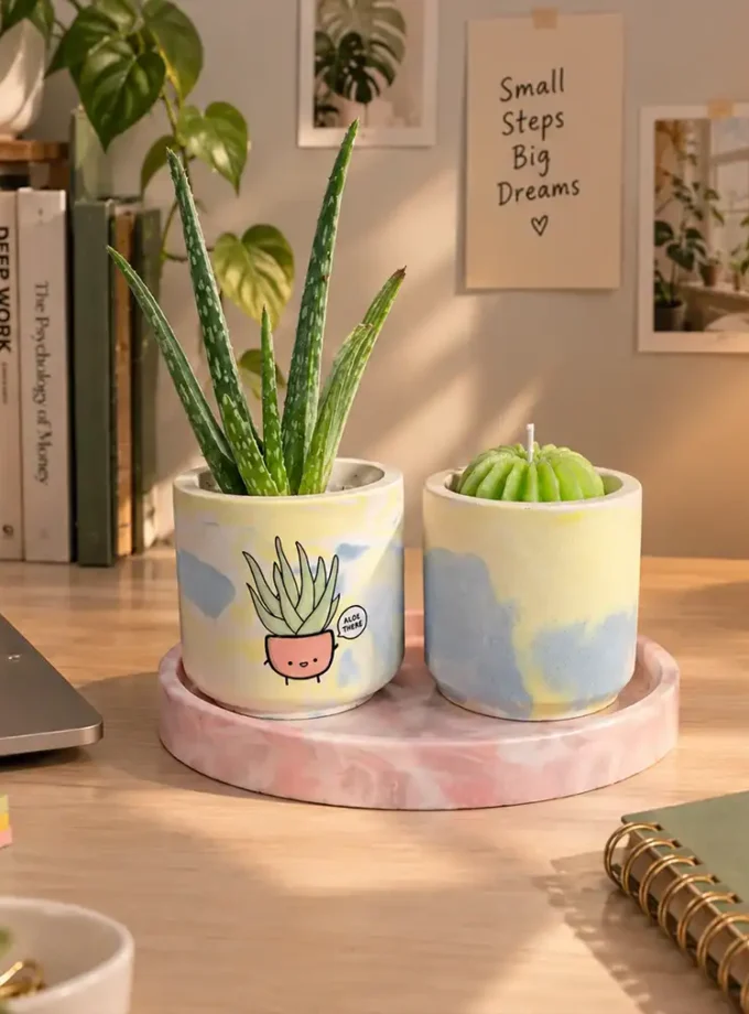 Aloe & Aroma